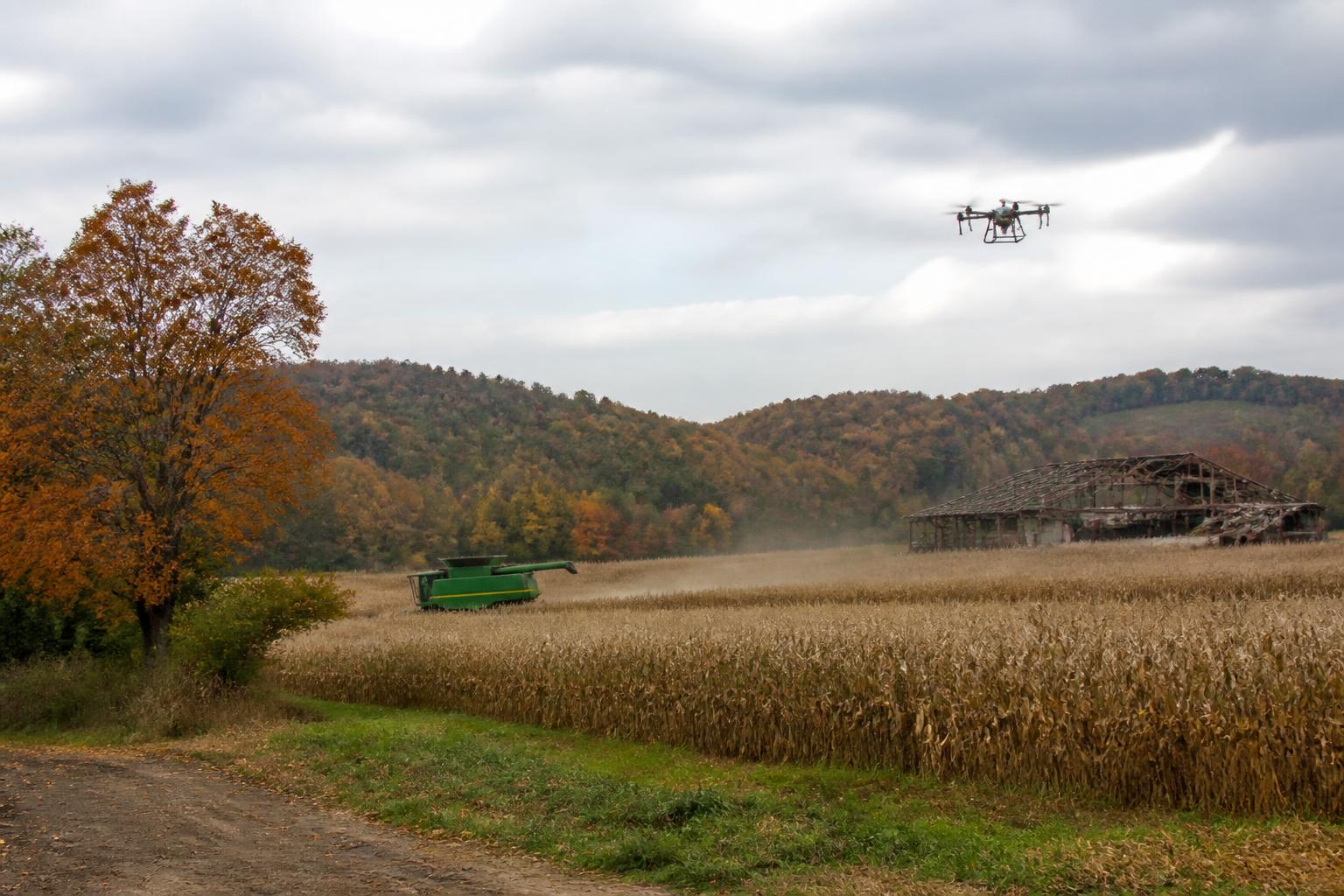 Protecting Connecticut Crops: Integrated Strategies for Late-Season Pest Management - AgroPost