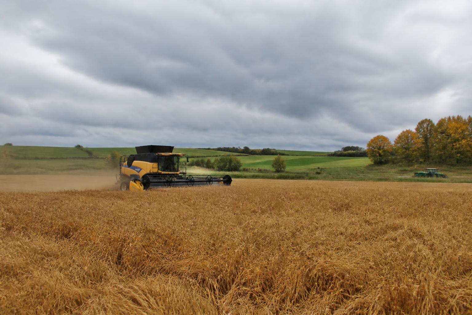 Protecting South Dakota Crop Stability Amid Evolving Seasonal Challenges - AgroPost