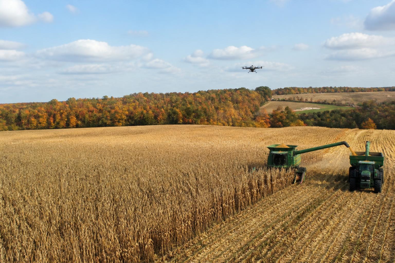Kentucky Harvest Logistics: Managing Momentum as Fall Conditions Hold - AgroPost