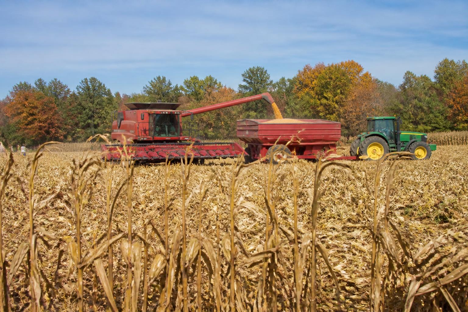 Fall Fertilizer Planning: Navigating Supply Chain Dynamics in Montana - AgroPost