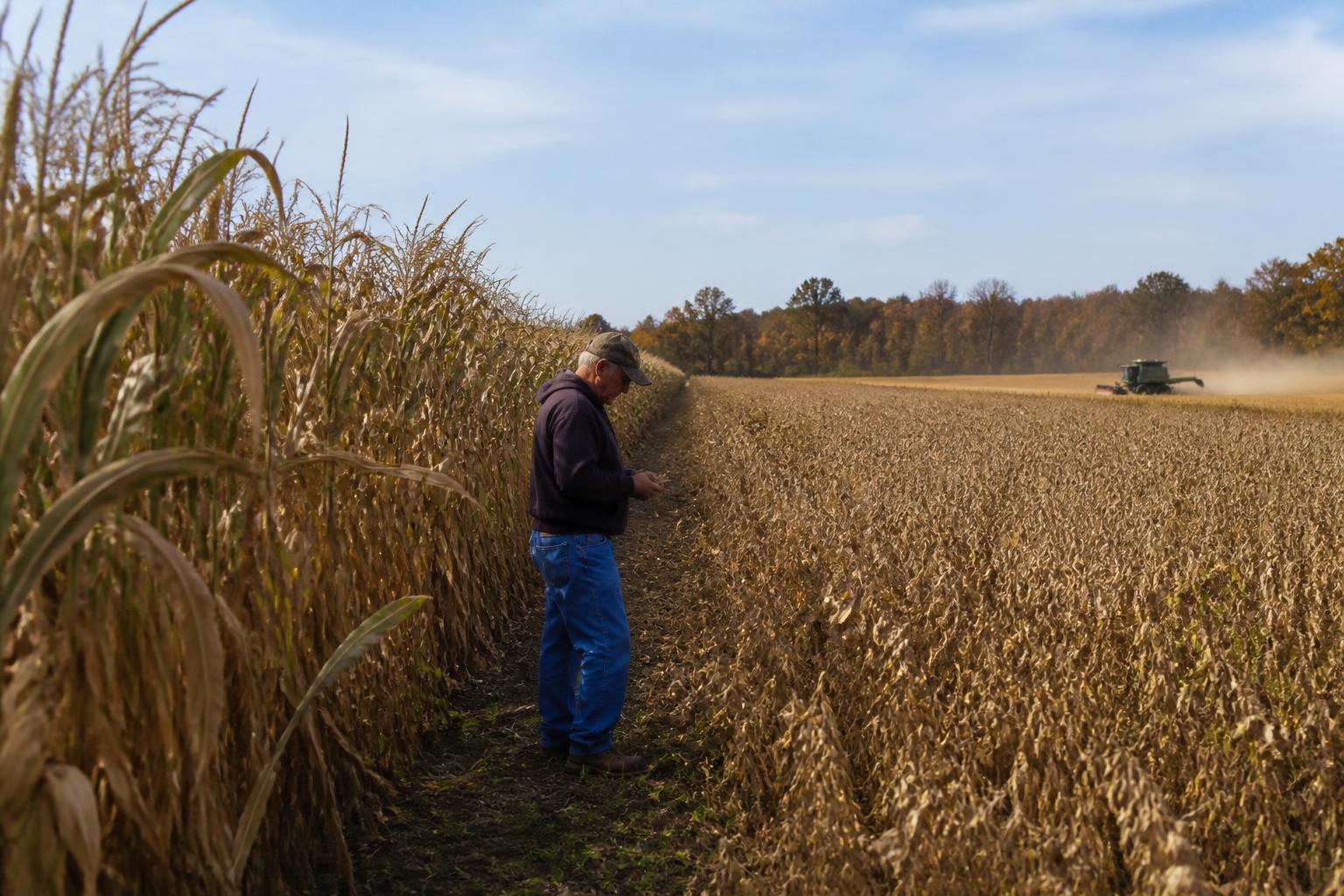 Navigating Input Costs and Crop Management as Indiana Harvest Peaks - AgroPost
