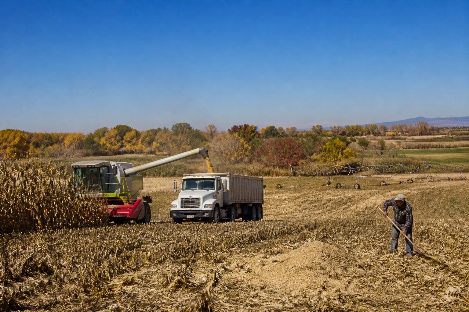 Navigating Supply Chain Constraints and Input Volatility in New Mexico - AgroPost