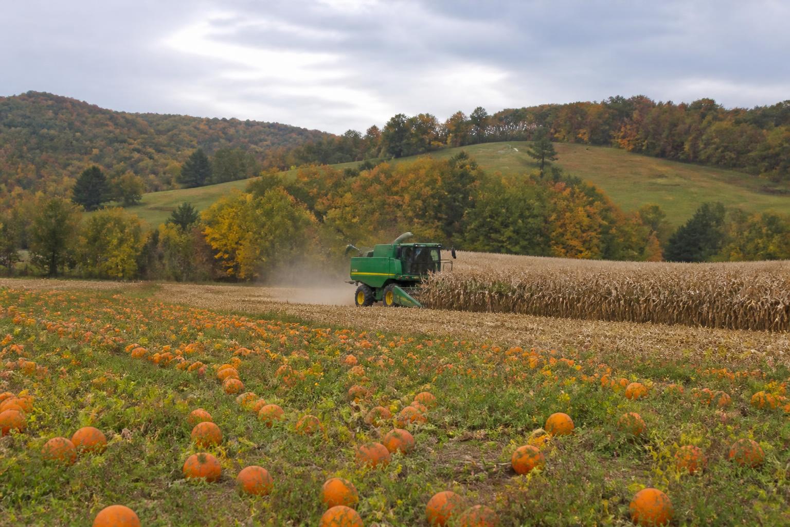 Navigating Infrastructure Resilience and Field Access in West Virginia - AgroPost