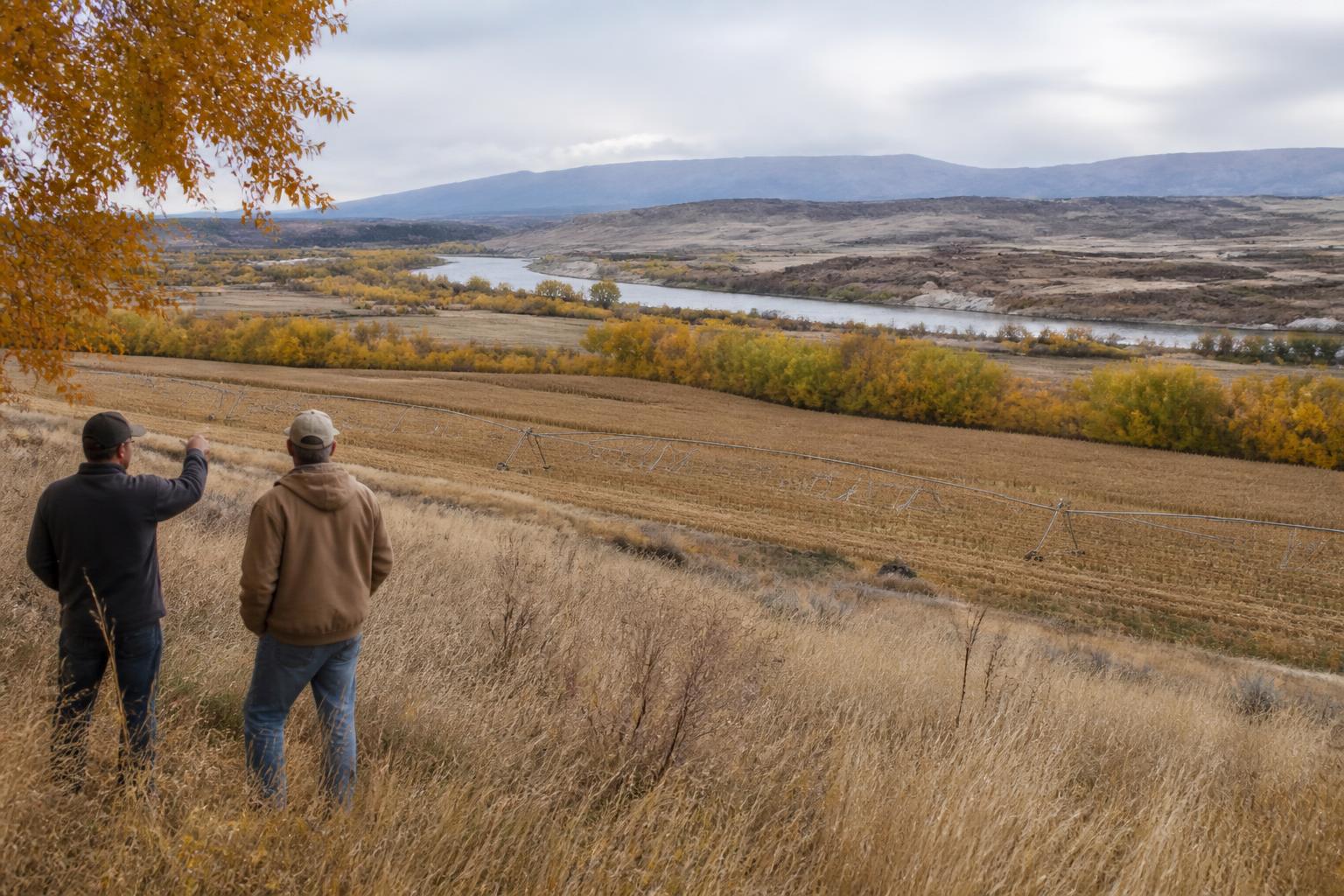 Navigating Crop Protection and Irrigation Constraints in Colorado - AgroPost