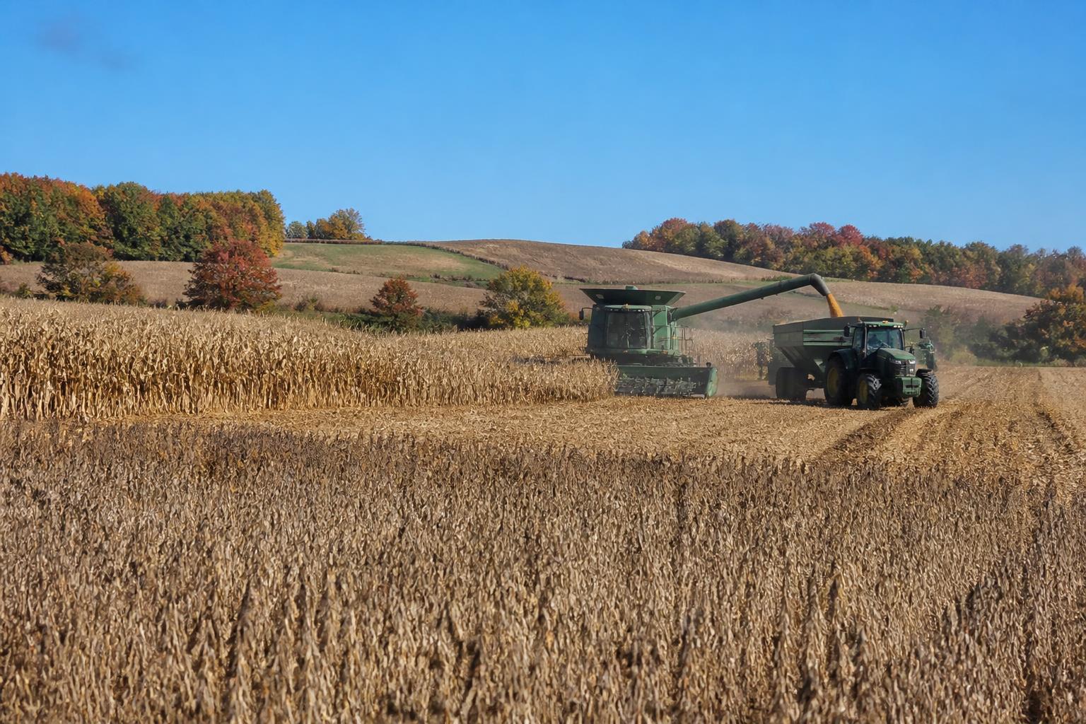 Minnesota Field Security: Strategies for Managing Emerging Risks This Fall - AgroPost