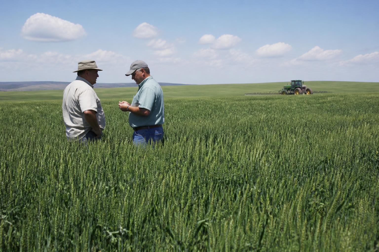 Washington Ag Market Update: Regional Infrastructure Expansion and Shifting Export Routes