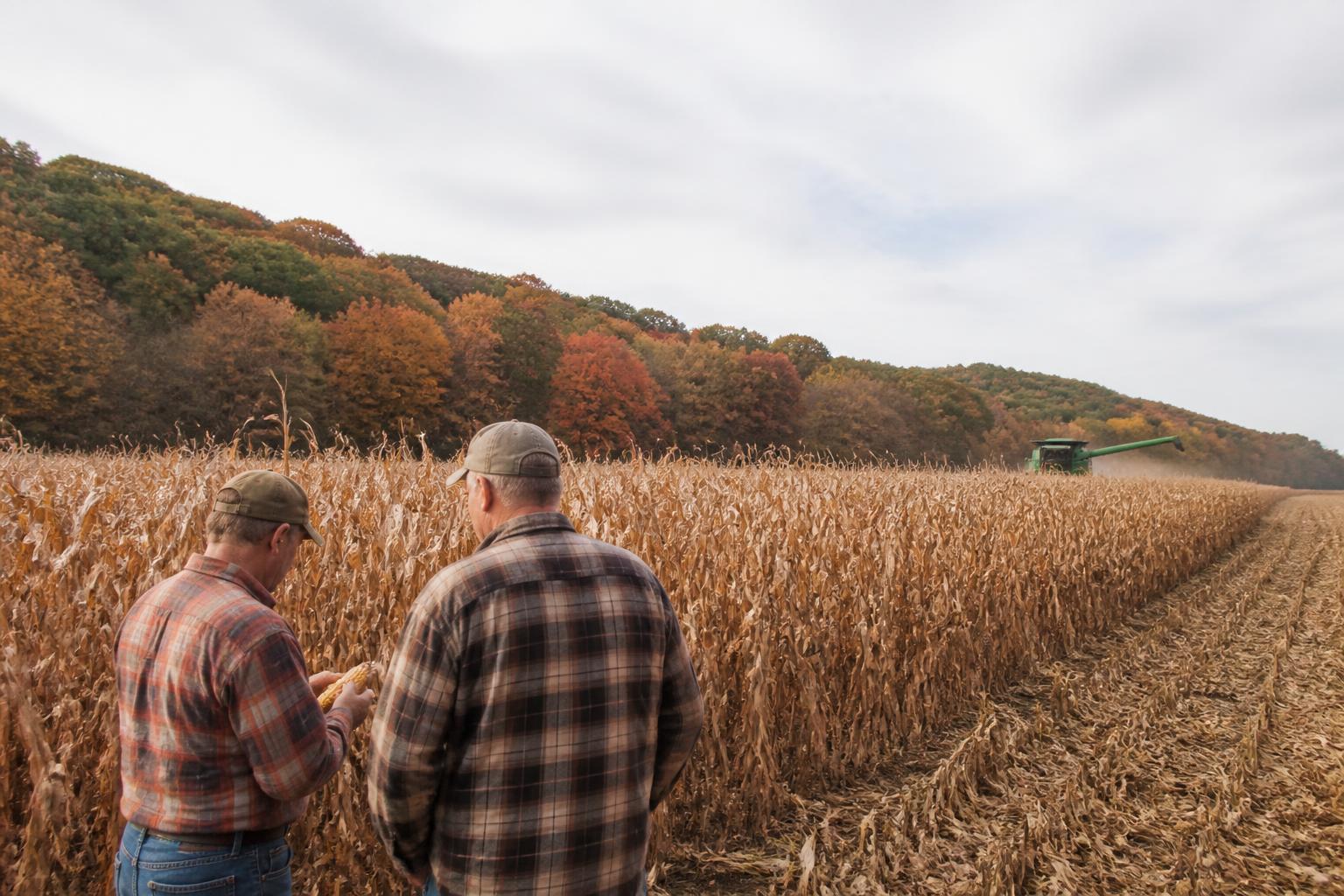 Pennsylvania Fertilizer Markets: Navigating Operational Shifts and Input Economics - AgroPost