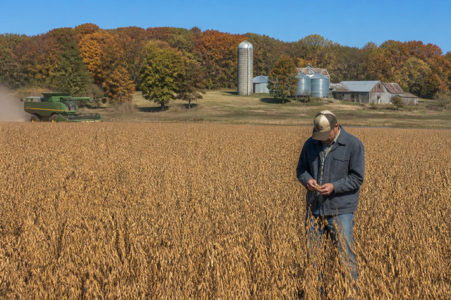 Missouri Harvest Progress: Navigating Field Conditions and Emerging Crop Protection Challenges - AgroPost