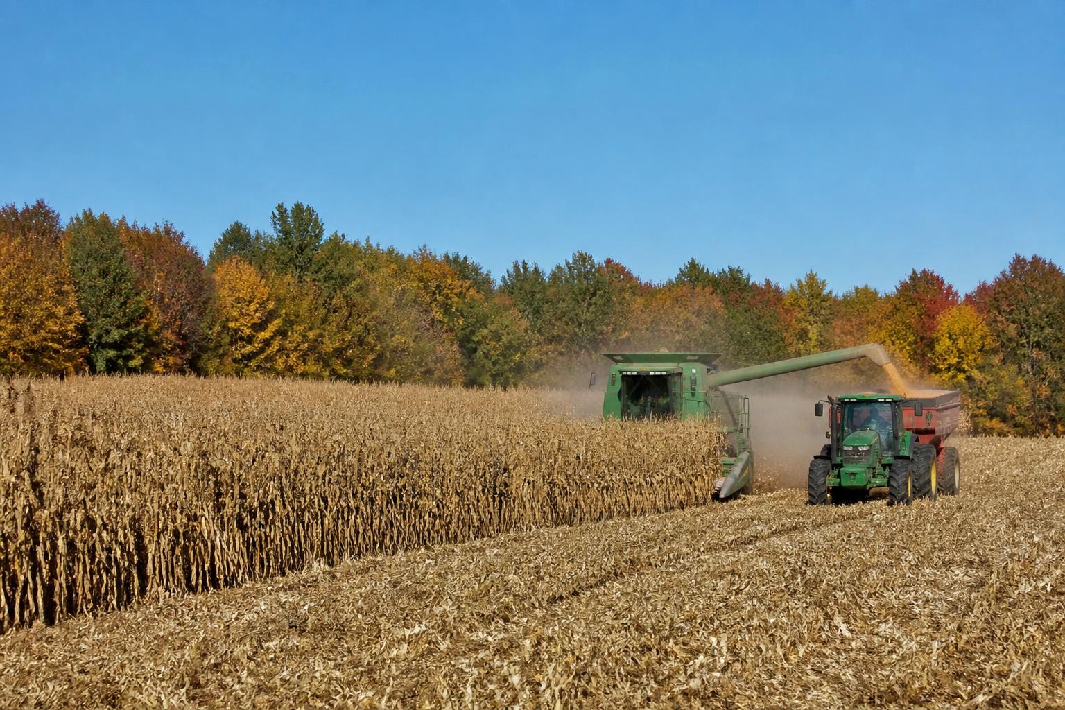 Illinois Input Outlook: Managing Fertilizer and Fuel Volatility This Fall - AgroPost