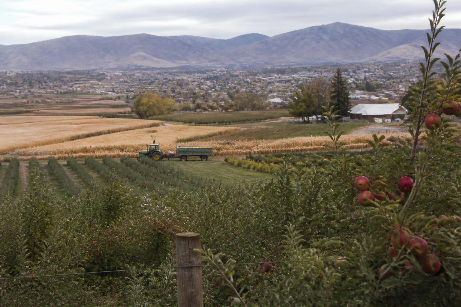 Utah Producers Face Operational Headwinds as Fall Harvest Logistics Tighten - AgroPost