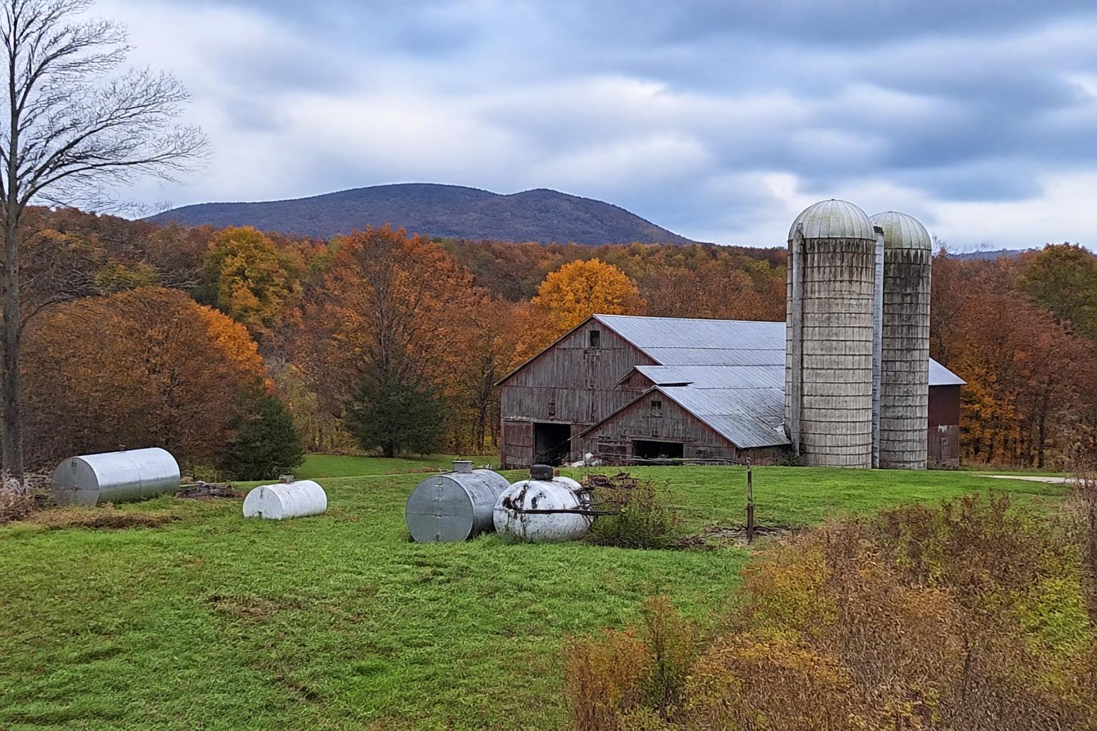 Vermont Dairy Sector Faces Market Headwinds Amid Evolving Input Realities