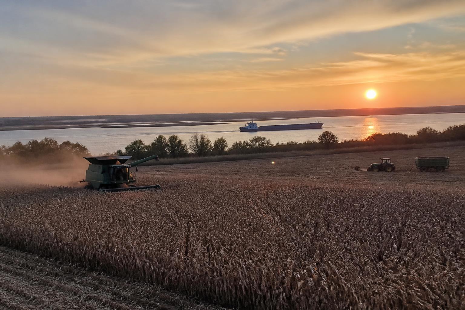 Delta Field Protection: Balancing Late-Season Pressures and Logistics - AgroPost