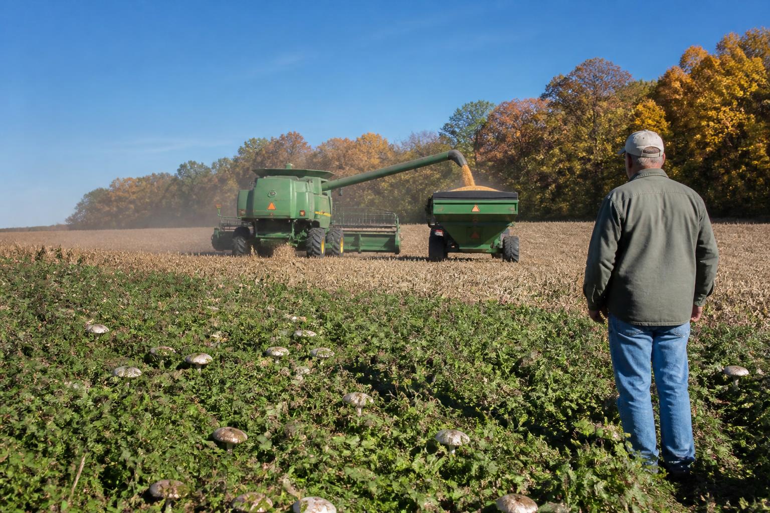 Missouri Harvest Logistics: Managing On-Farm Storage Amid Shifting Conditions - AgroPost