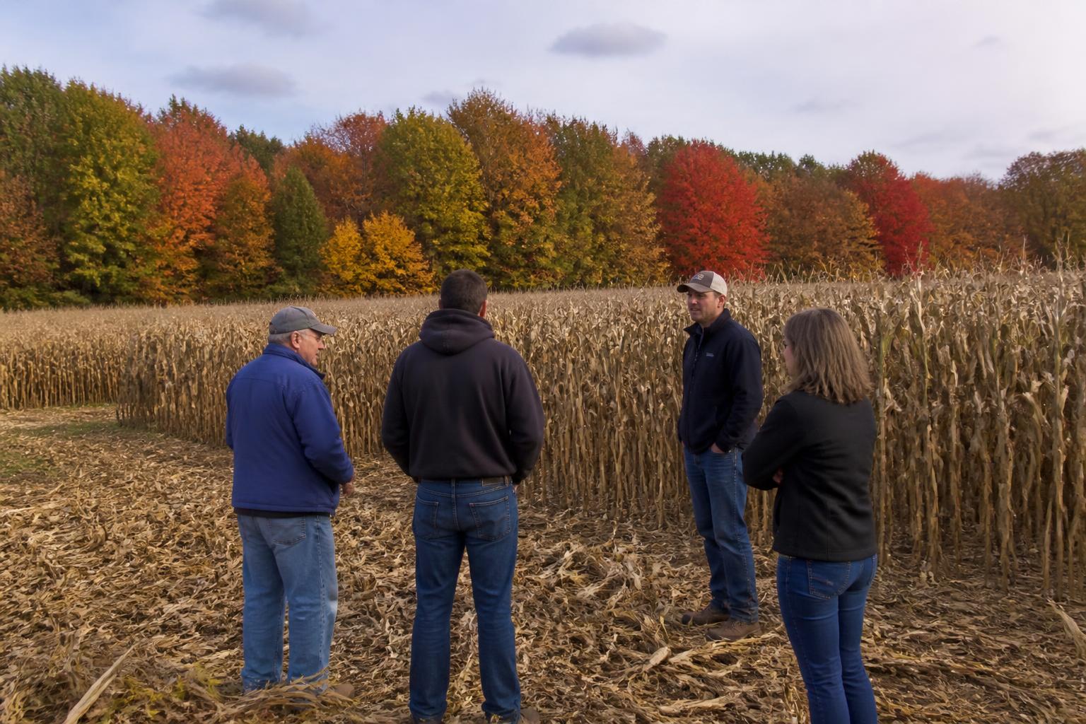 Michigan Fertilizer Market Faces Pressure Amid Global Trade Volatility - AgroPost