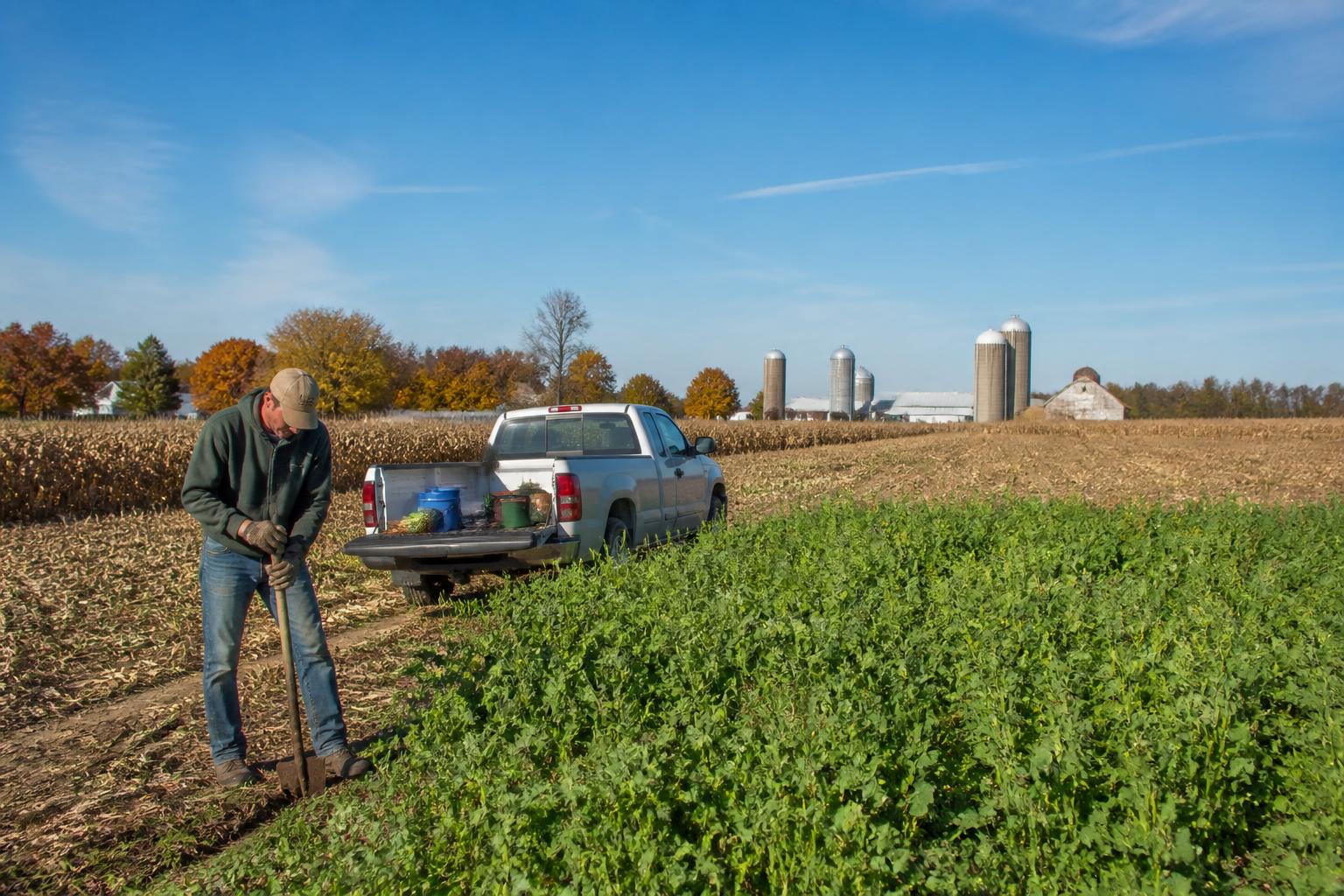 Indiana Producers Assess Field Readiness and Resource Management as Fall Harvest Begins - AgroPost