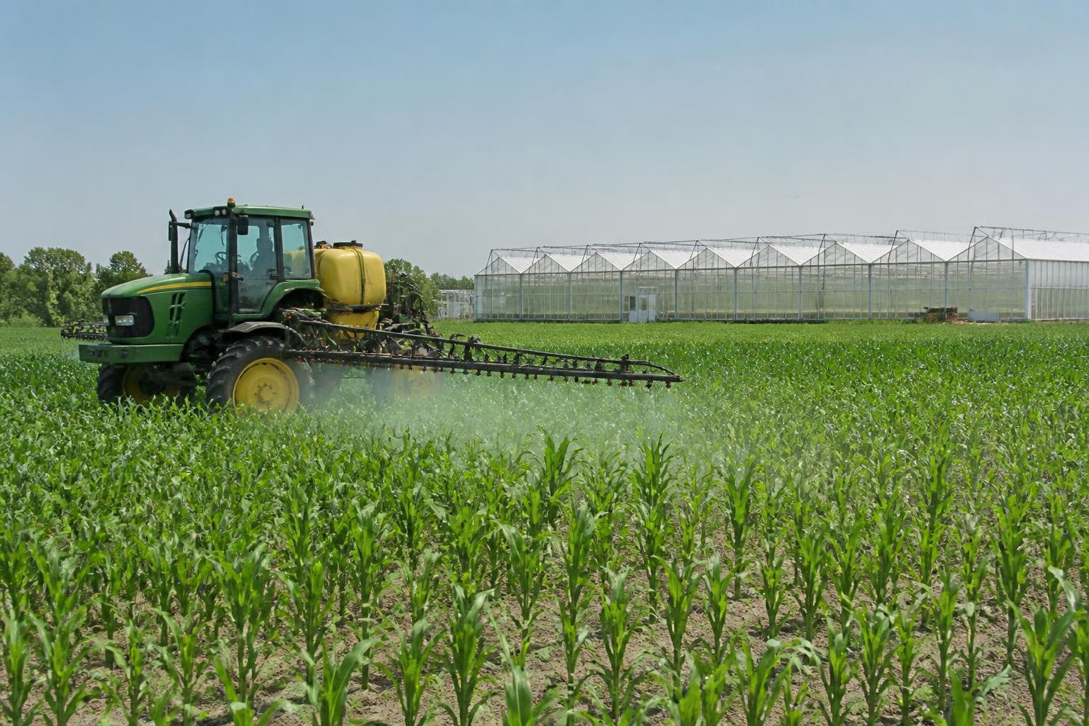 Indiana Grain Outlook: Tar Spot Pressures and Strategic Input Choices in Summer 2026