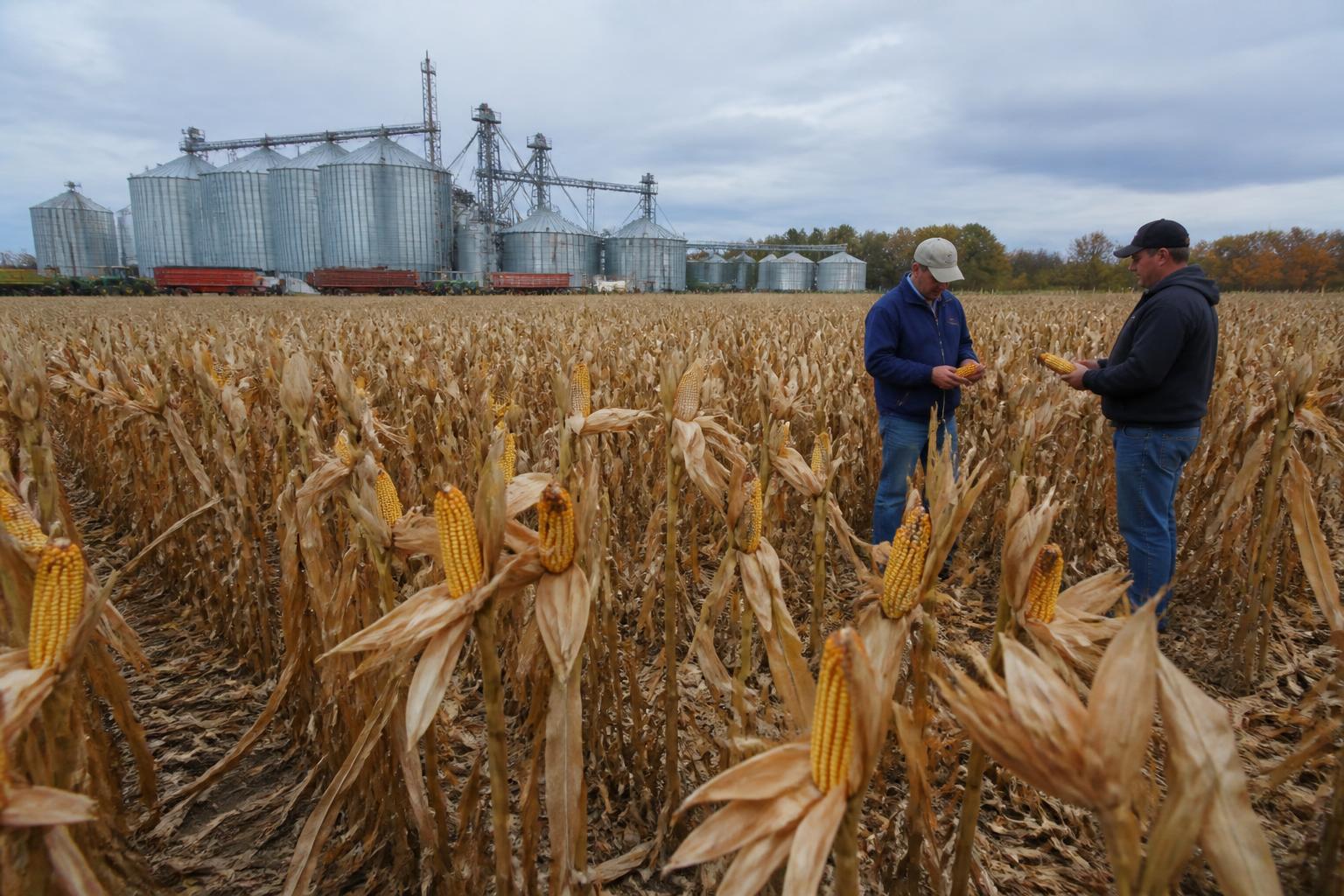 Navigating Ohio Grain Logistics: Shifts in Local Infrastructure and Market Flow - AgroPost