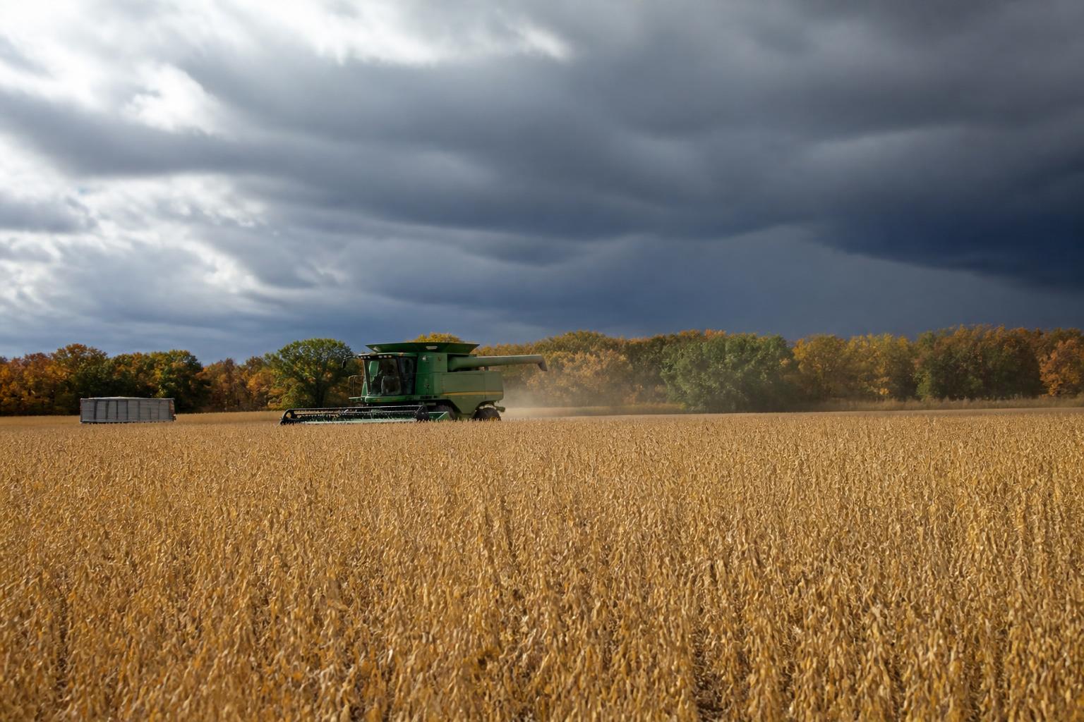 Oklahoma Grain Market Outlook: Navigating Fall Volatility and Input Costs