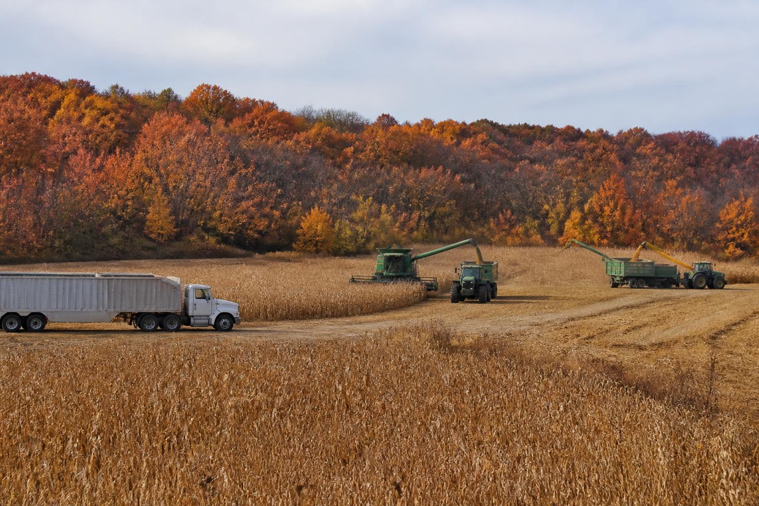 Tennessee Fuel Market Update: Relief Measures Impacting Fall Harvest Logistics