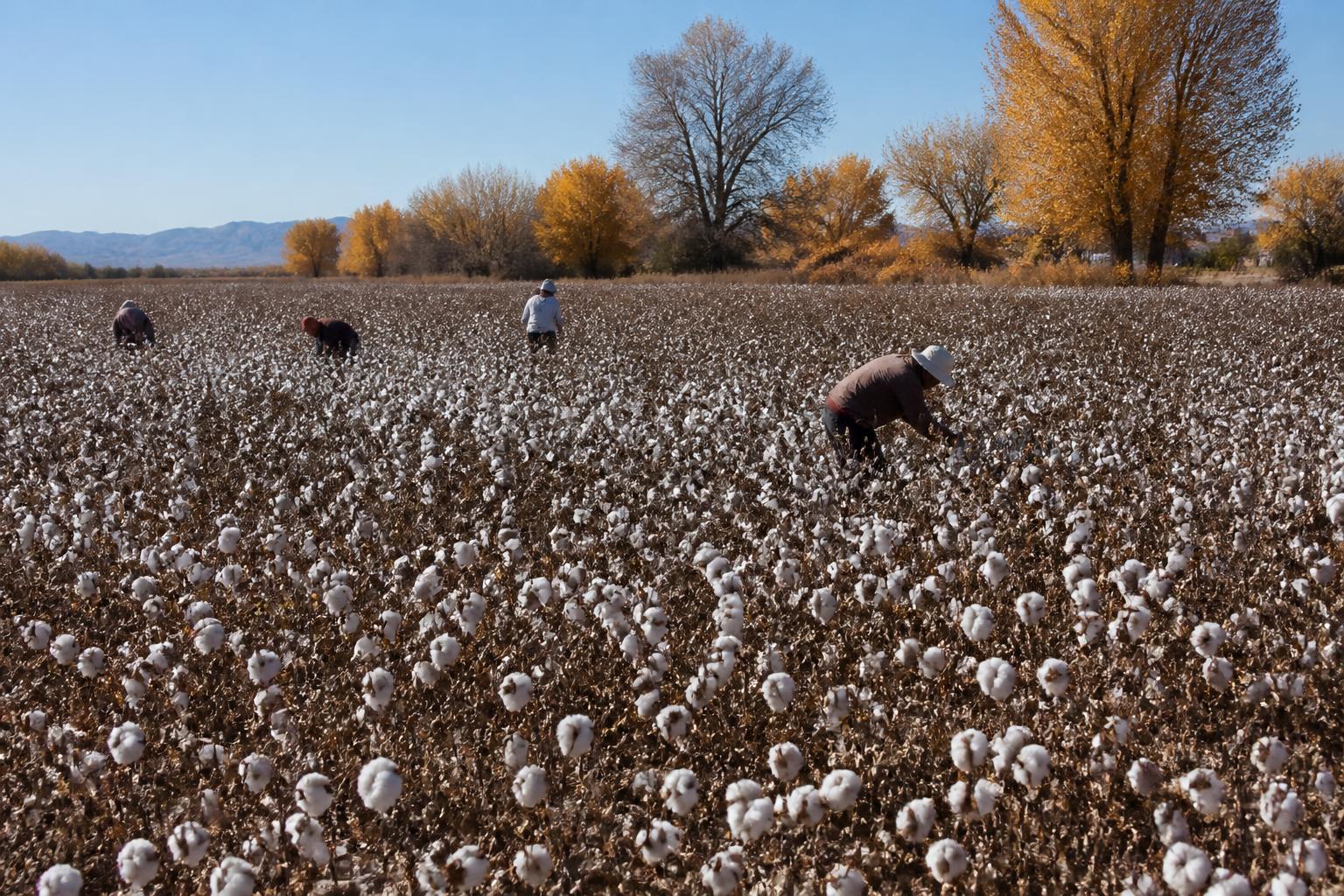 Cross-Regional Insights: Idaho Agriculture Draws National Attention