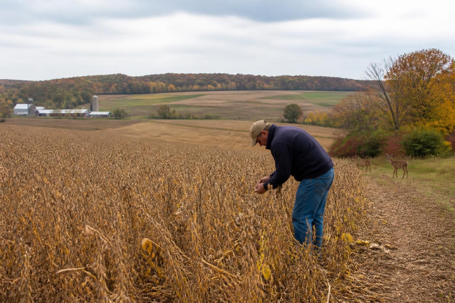 Addressing Crop Loss: New Strategies for New Jersey Farm Protection - AgroPost