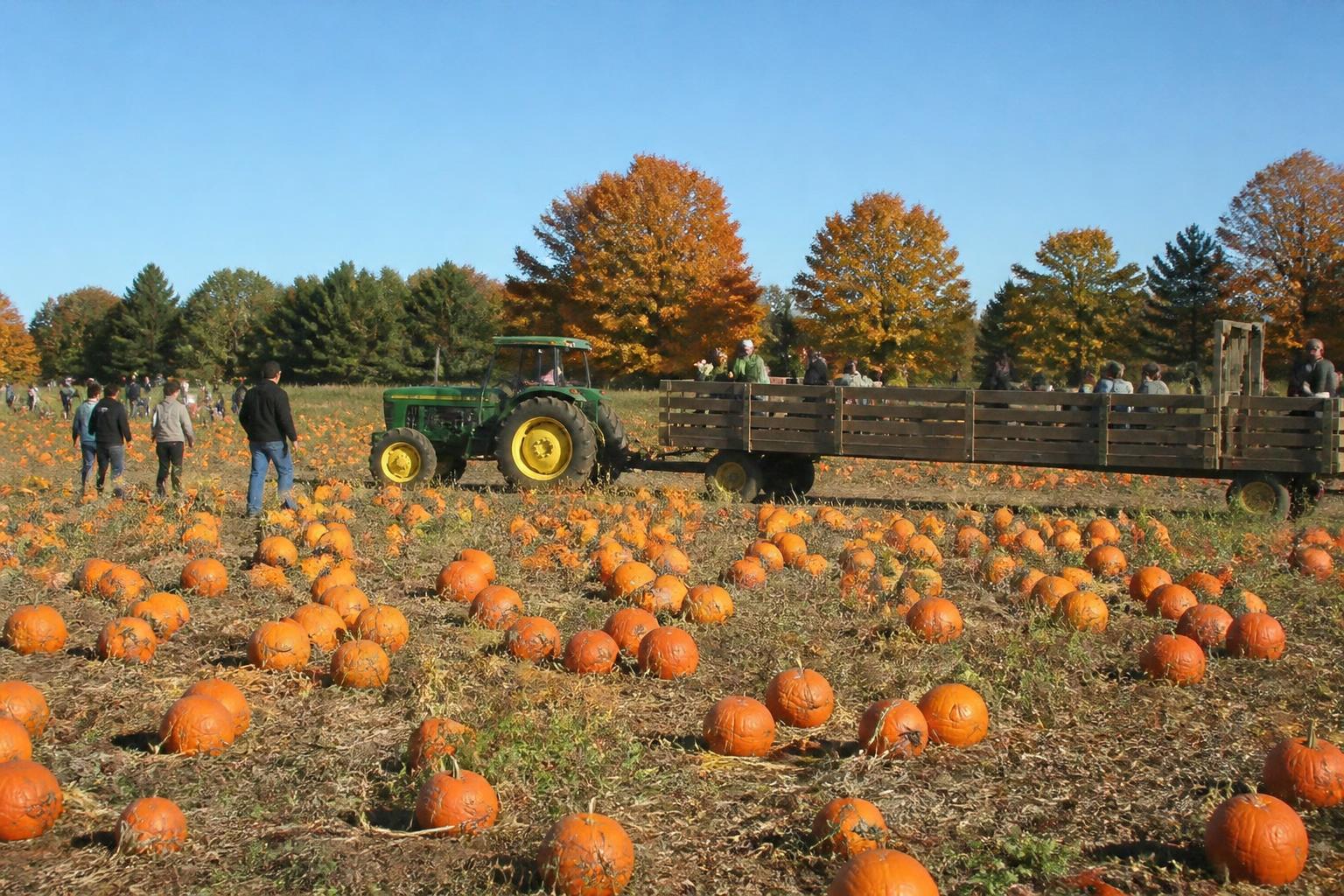 Navigating Operational Uncertainties in Nevada's Fall Harvest - AgroPost