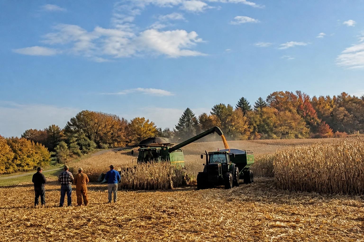 Minnesota Market Brief: Navigating Operational Strains and Financial Volatility - AgroPost