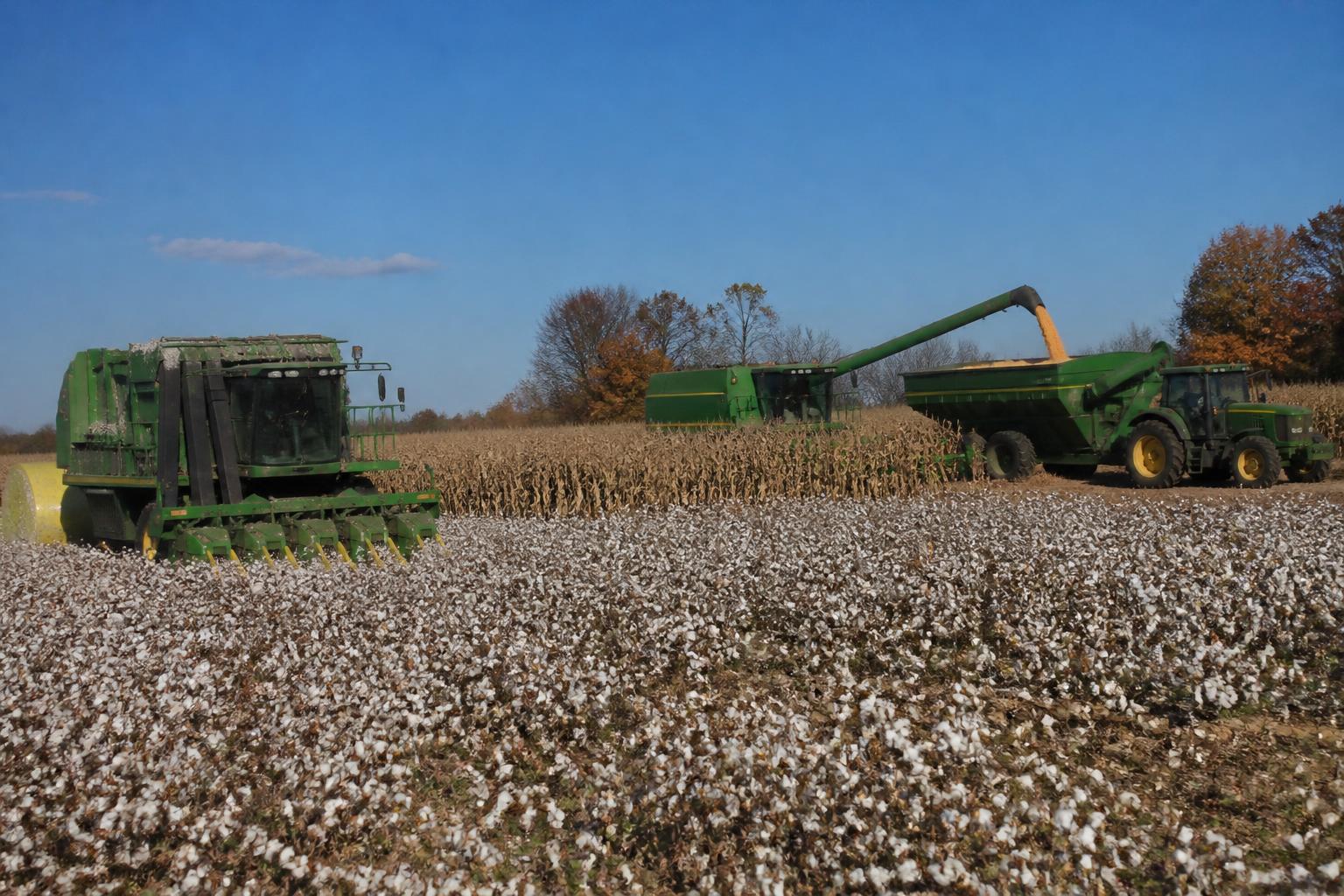 Alabama Harvest Update: Managing Equipment Flow and Market Volatility - AgroPost