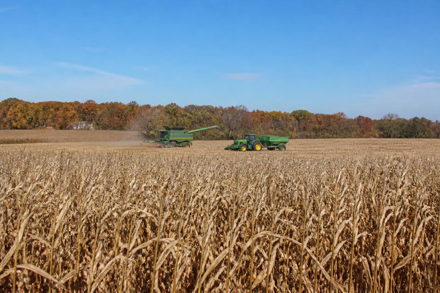 Connecticut Market Update: Managing Corn Volatility and Field Safety - AgroPost