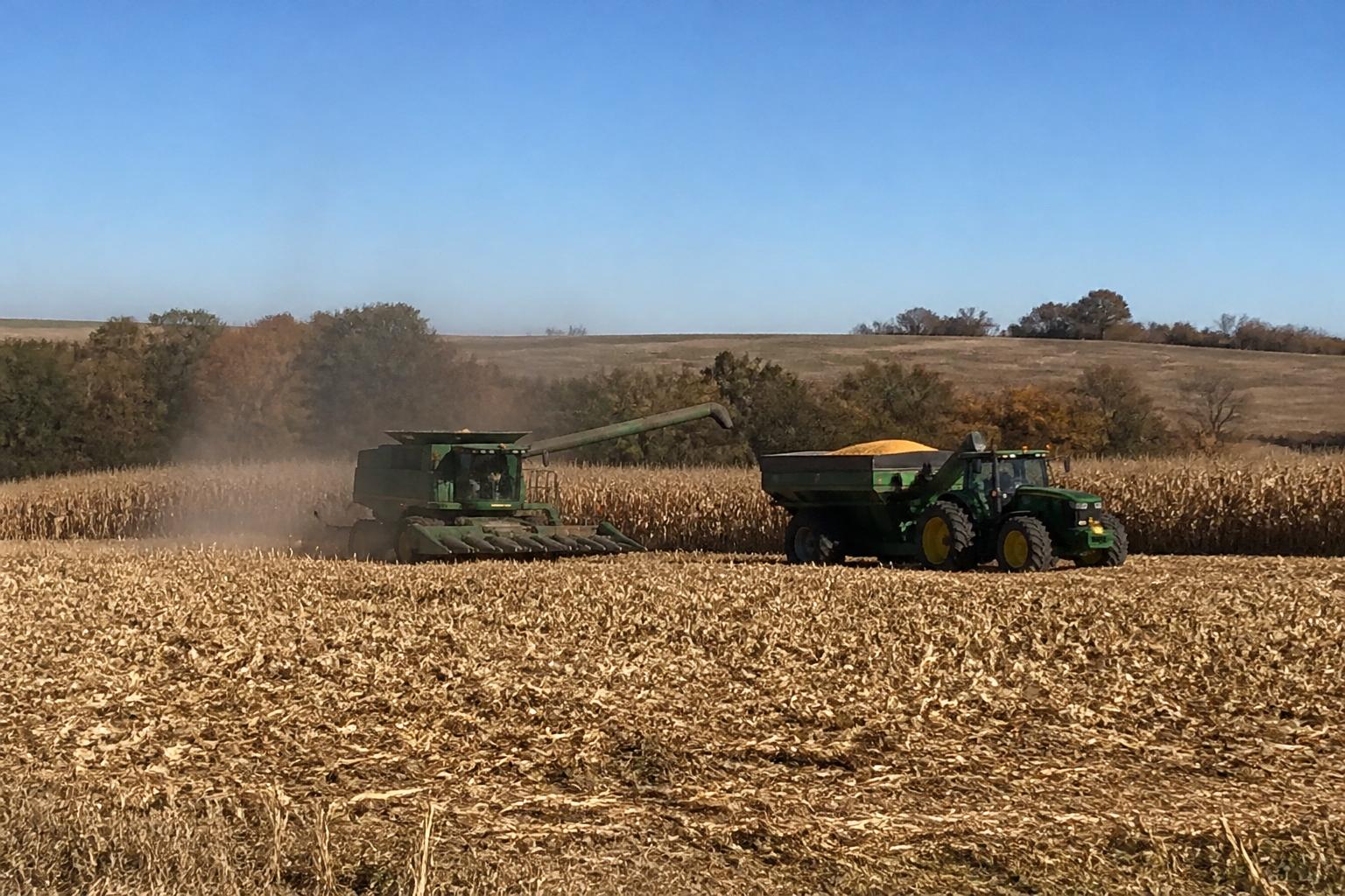 Iowa Harvest Logistics: Navigating Saturated Fields and Market Shifts - AgroPost