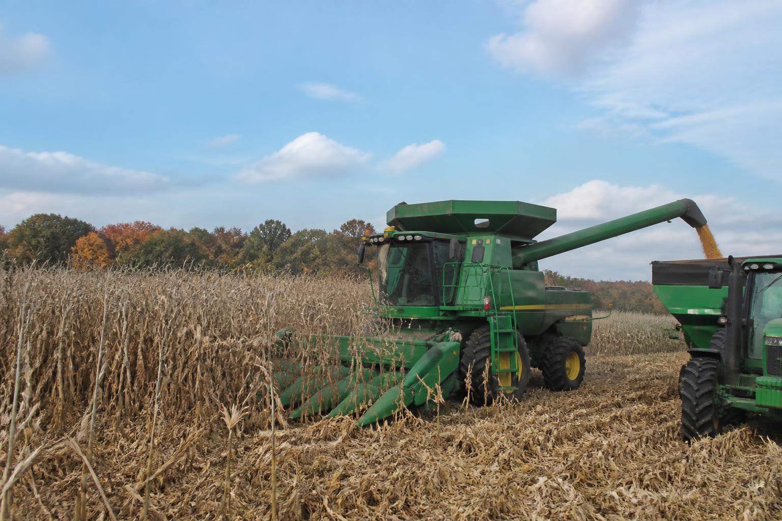 Indiana Basis Trends and Logistics: Preparing for Peak Harvest - AgroPost