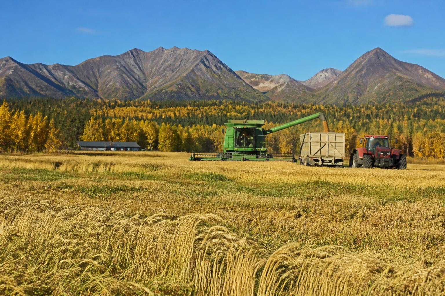 Expanding Alaska's Grain Potential: Resilience in a Challenging Climate - AgroPost