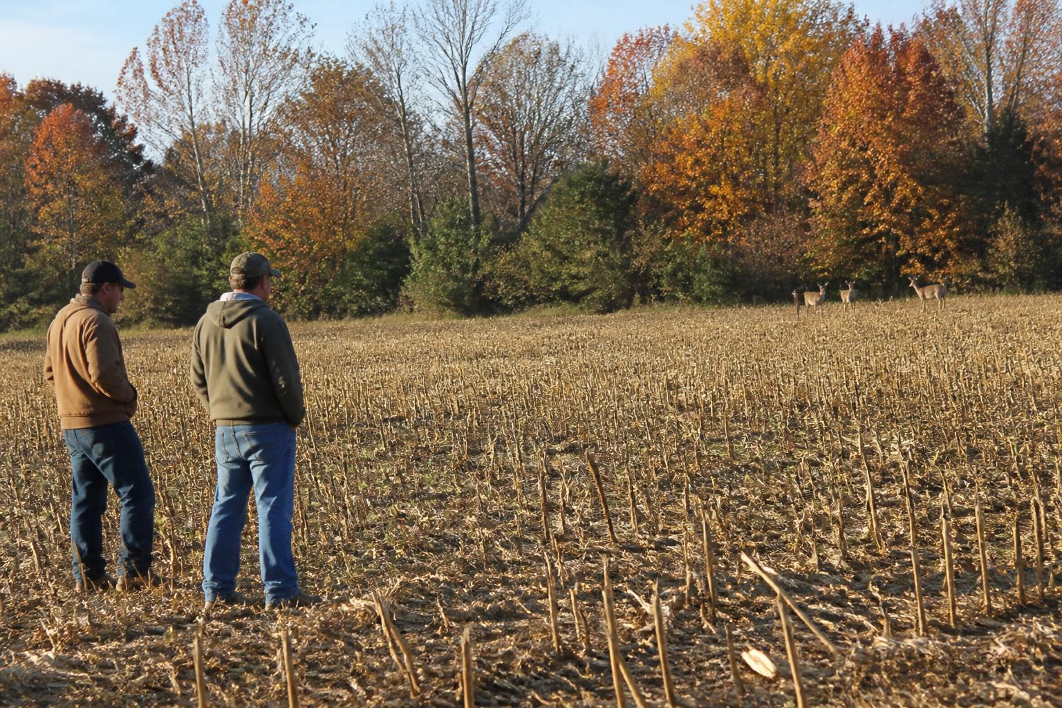 Navigating Fertilizer Market Realities for Delaware Growers - AgroPost