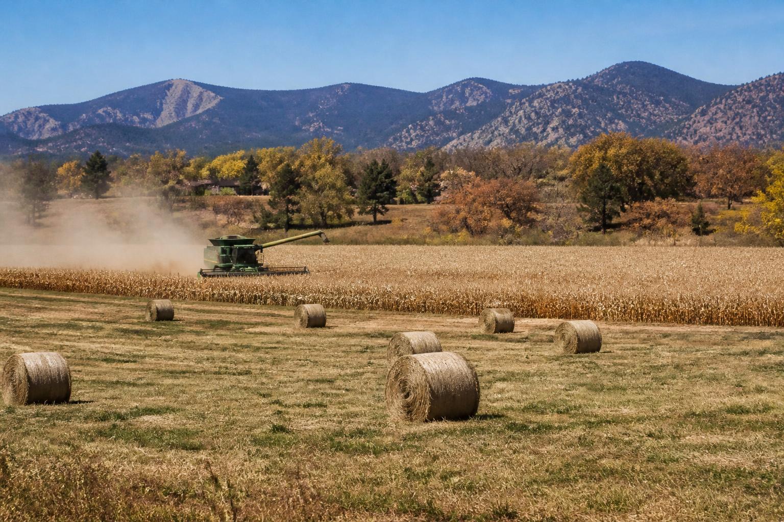 Colorado Grain Markets: October Logistics and Seasonal Pricing Shifts