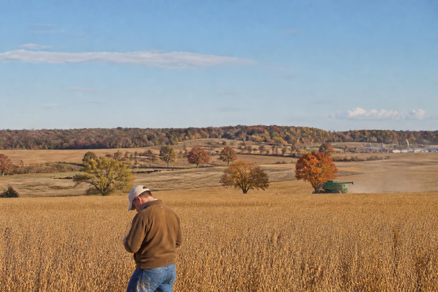 Oklahoma Producers Navigate Protection Strategies and Economic Shifts