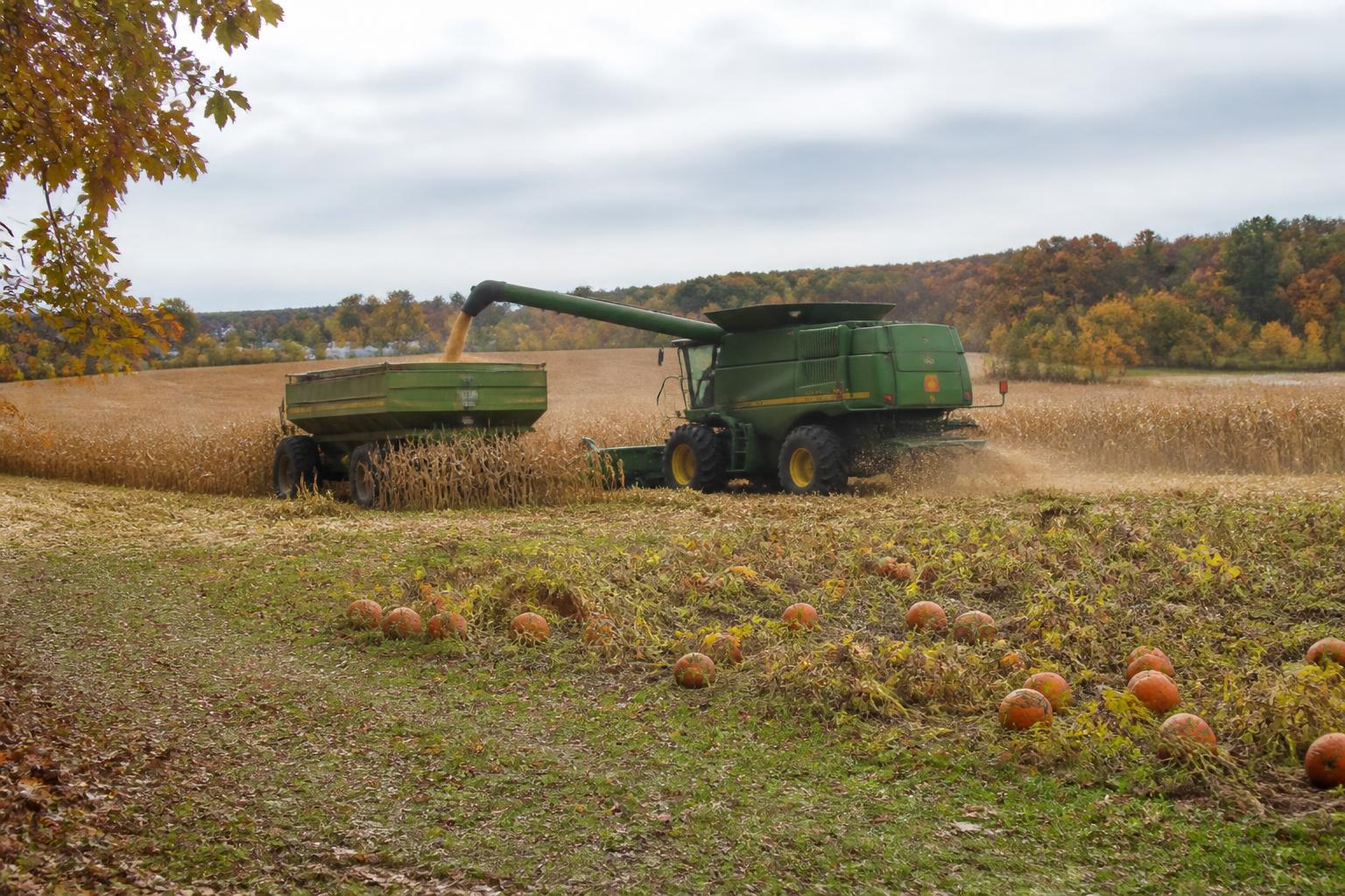 Supply Chain Technology and Regulatory Shifts Impacting Hawaii Agriculture - AgroPost