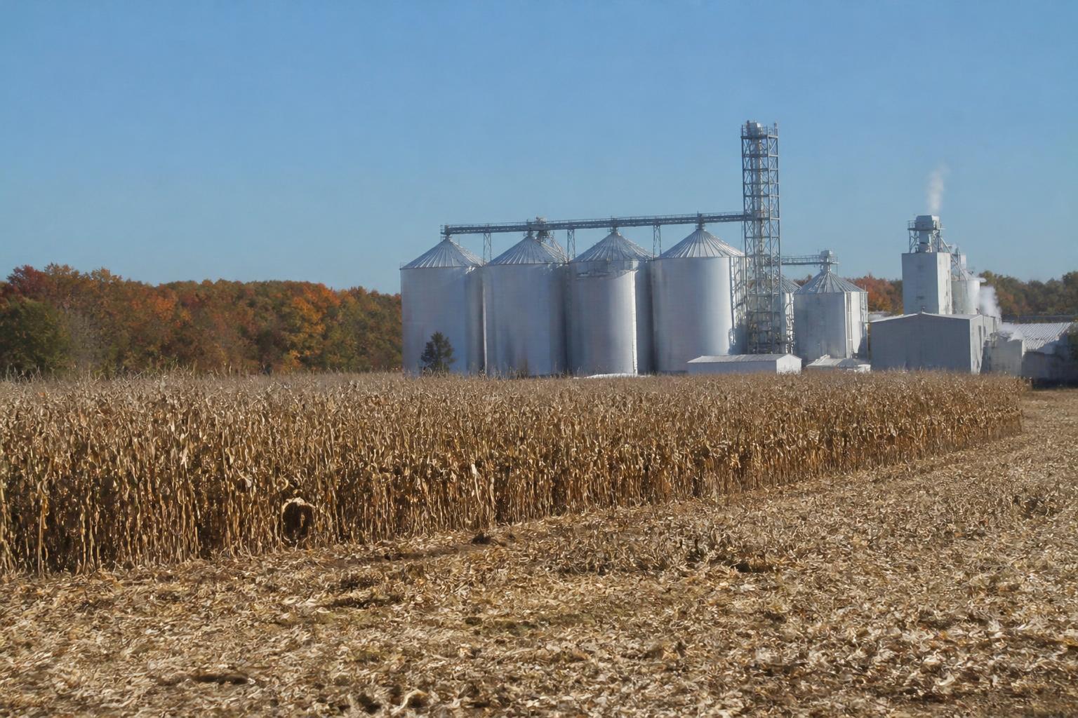 Nevada Producers Eye Crop Protection Shifts Amid Evolving Market Dynamics - AgroPost