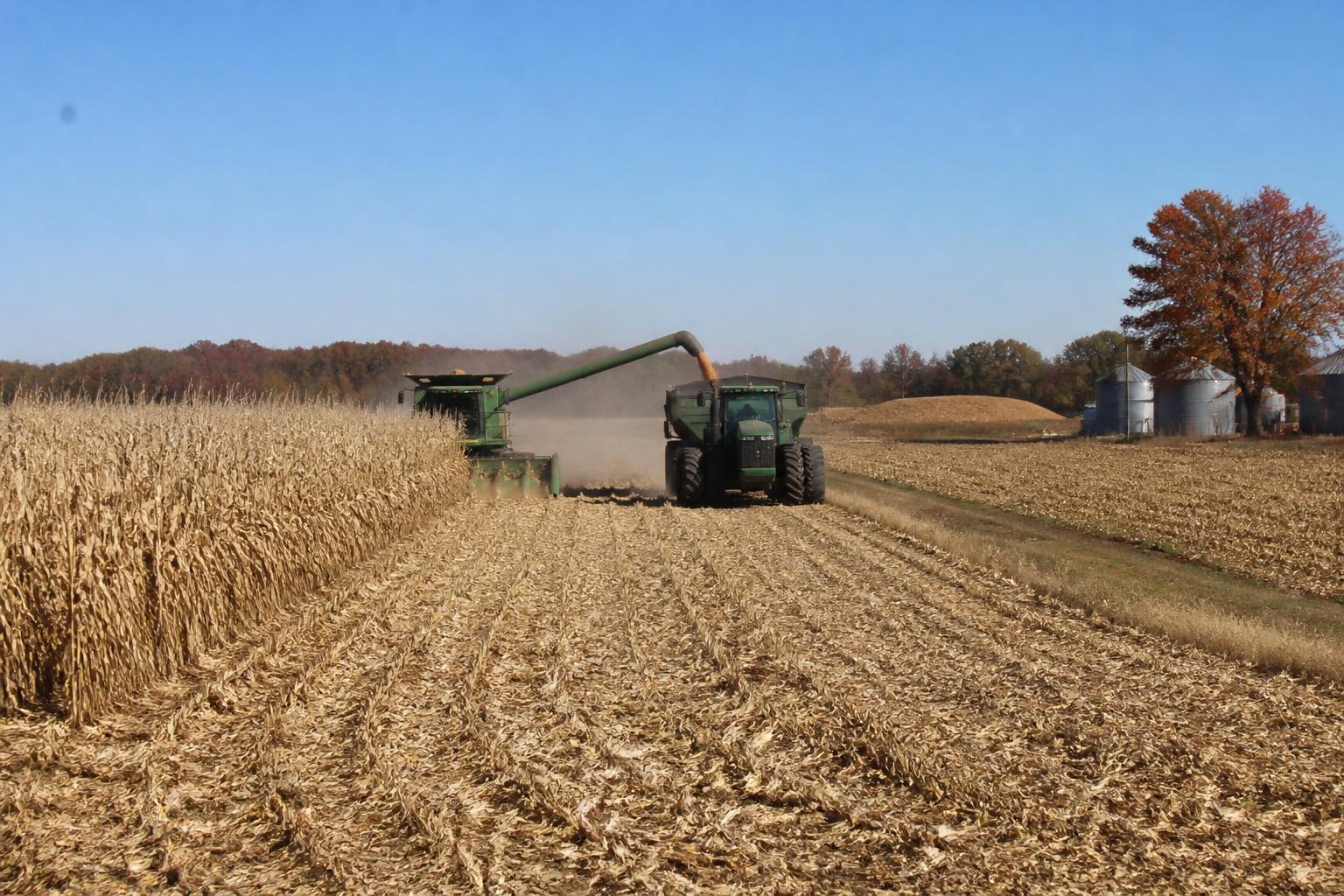 Arkansas Harvest Update: Assessing Efficiency and Global Economic Pressure - AgroPost