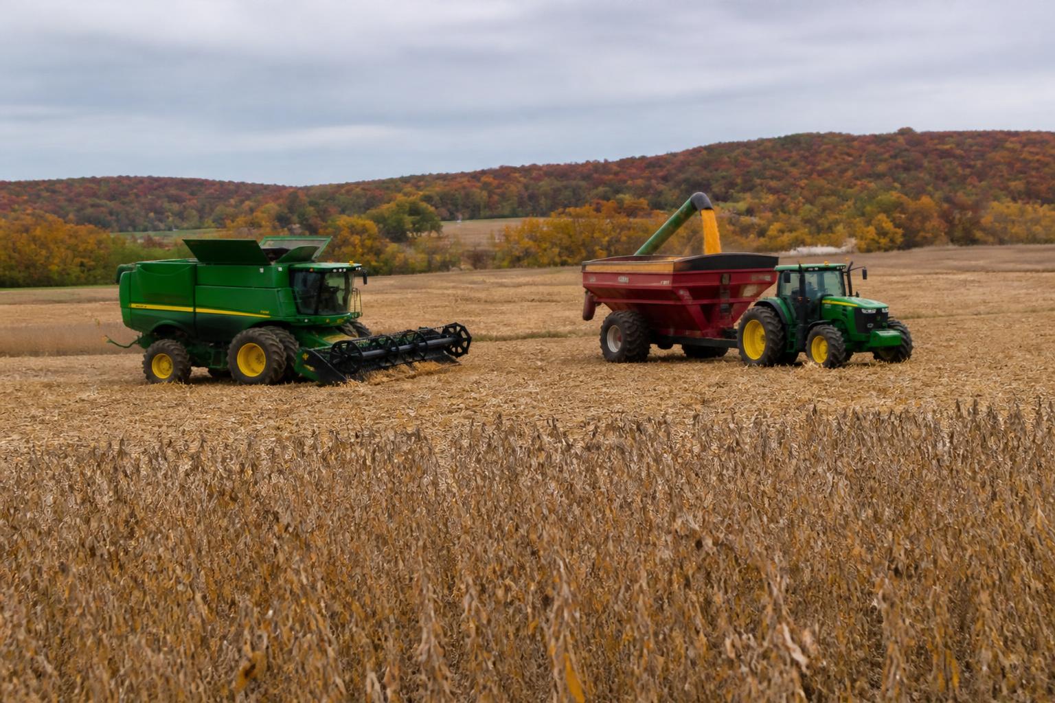 New York Fertilizer Outlook: Navigating Supply Chain Stability and Input Costs - AgroPost