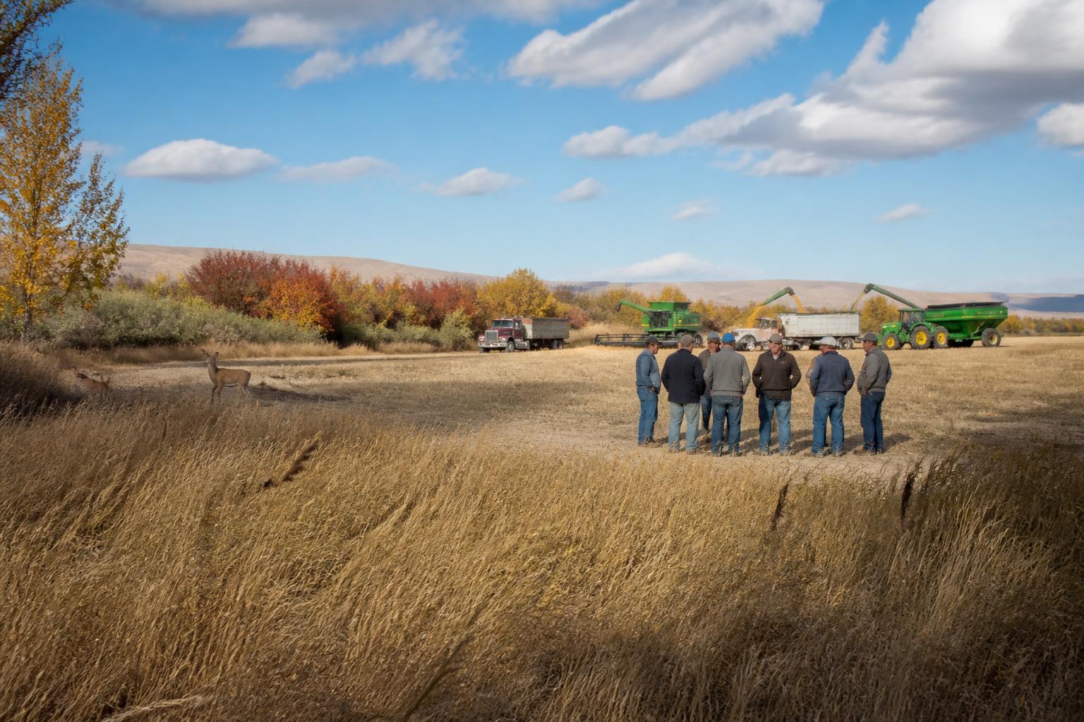 Idaho Ag Update: Conservation Trends and Disease Management Heading into Winter