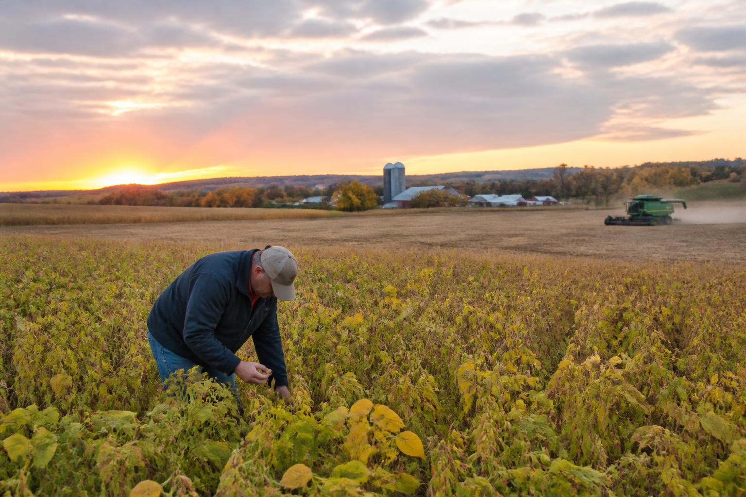 Pennsylvania Fertilizer Markets: Navigating Operational Shifts and Input Economics - AgroPost