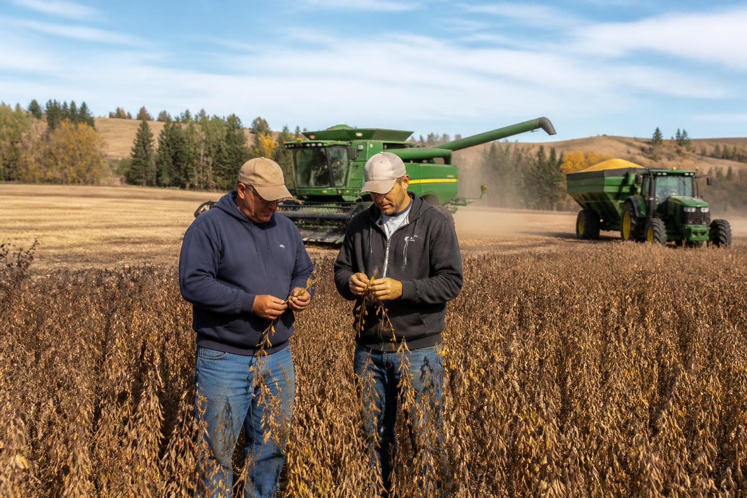 Washington Growers Weigh Regulatory and Trade Shifts as Fall Harvest Progresses - AgroPost