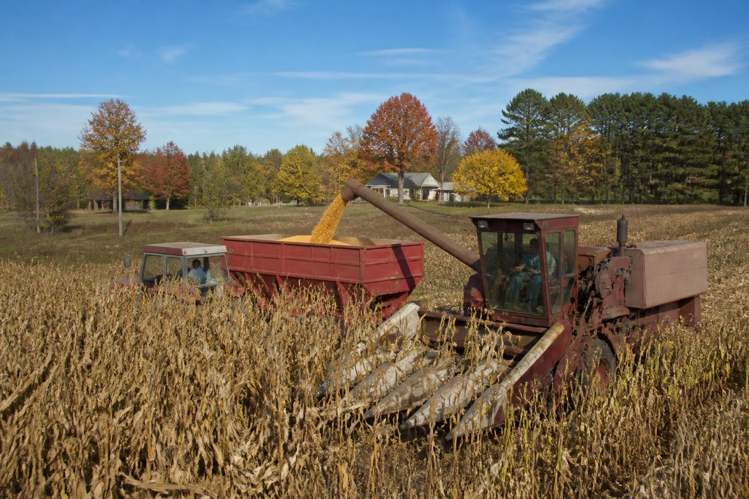 North Carolina Crop Protection: Navigating Late-Season Pest and Disease Pressures - AgroPost