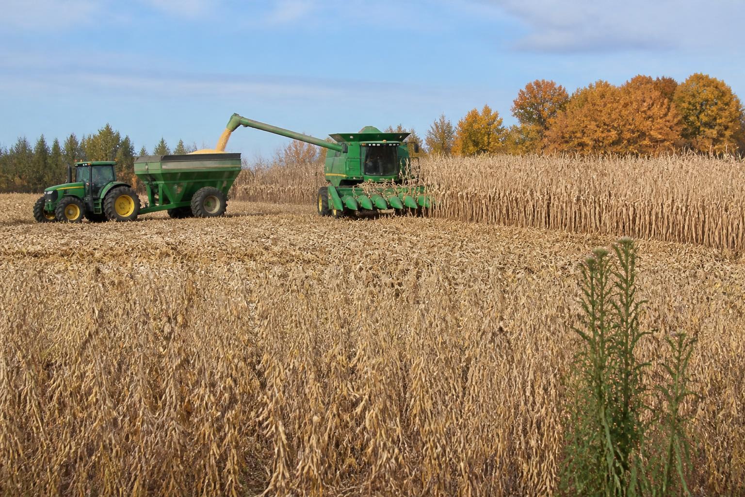 Minnesota Harvest Logistics: Maintaining Field Security and Operational Flow - AgroPost