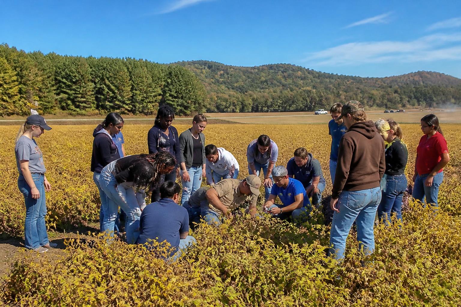 Arkansas Peanut Sector: Financial Resilience and Future Outlook - AgroPost