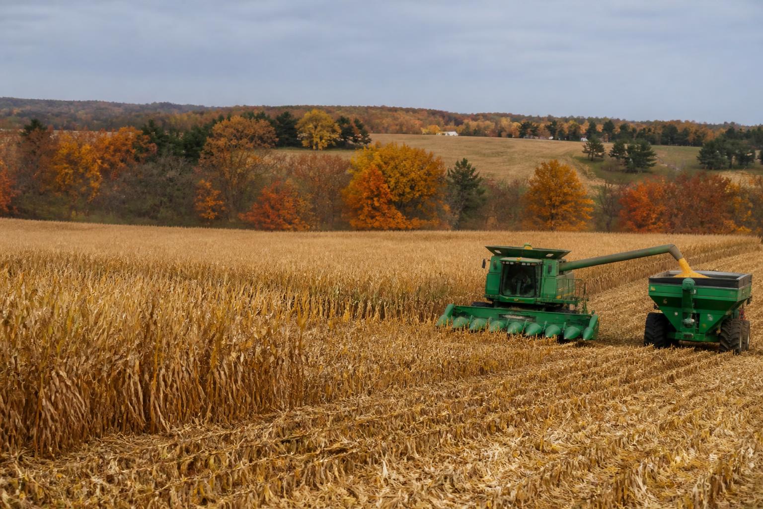 Fall Logistics and Resource Management in Nevada Agriculture