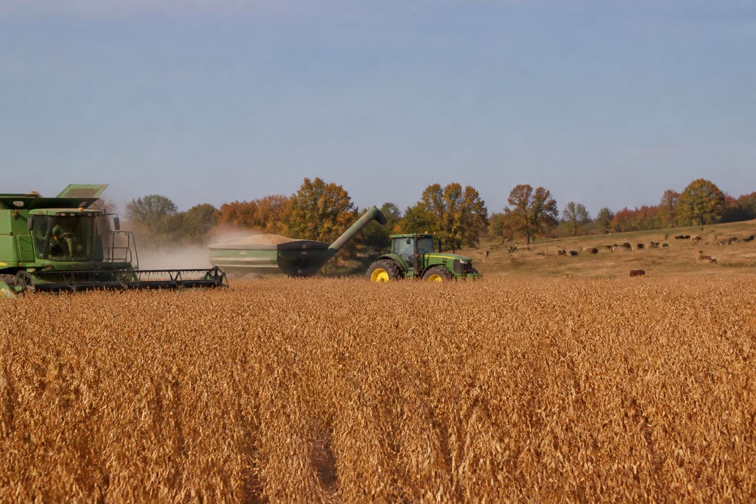 New Mexico Grain Market Brief: Navigating Global Trade and Regional Logistics - AgroPost