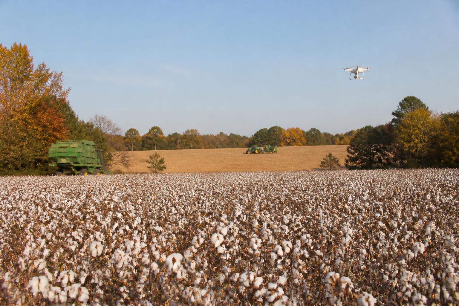 Fall Fertilizer Planning in Mississippi: Monitoring Costs and Emerging Field Pressures
