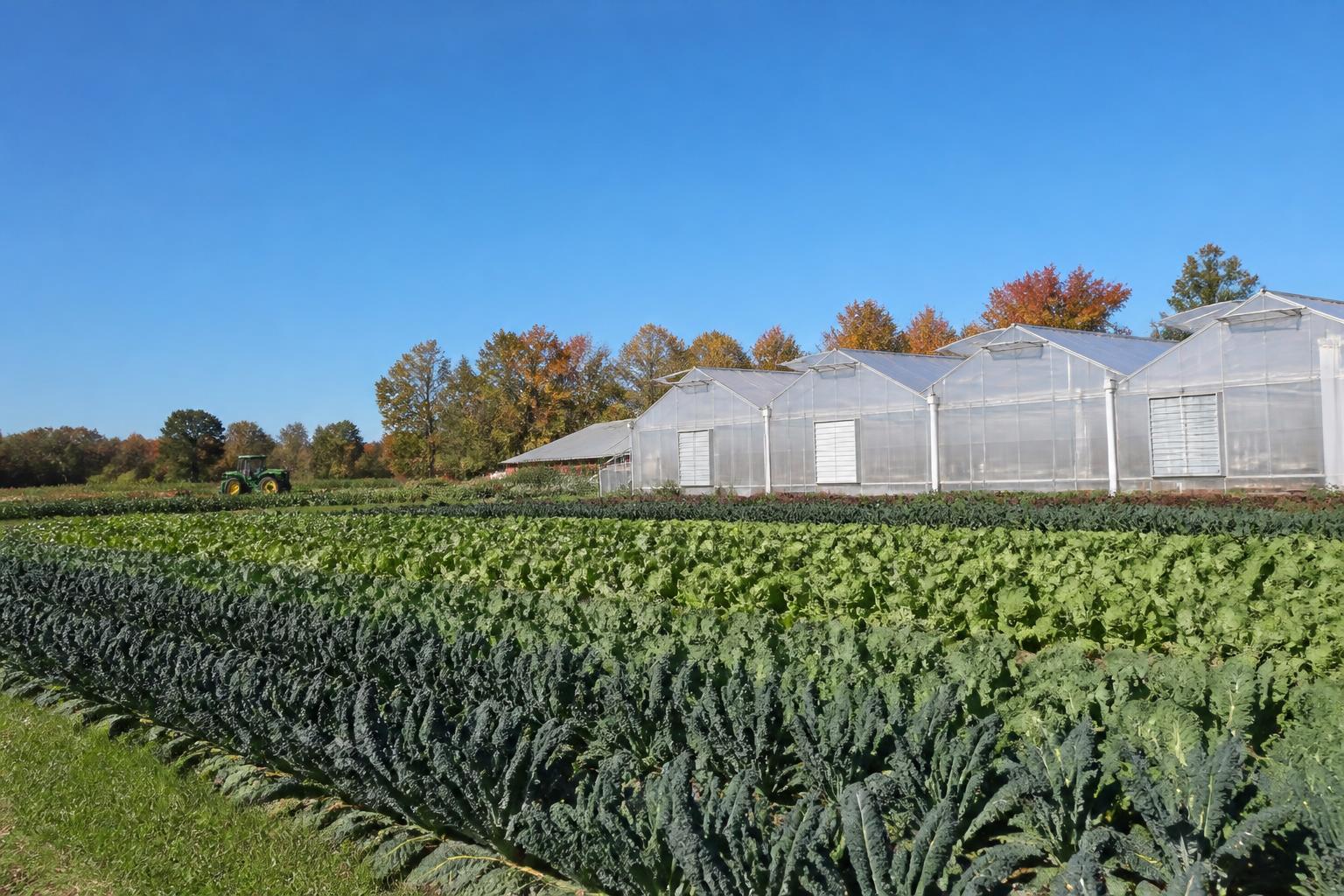 New York Ag Logistics Update: Managing Input Flows Amidst Fall Operational Shifts - AgroPost