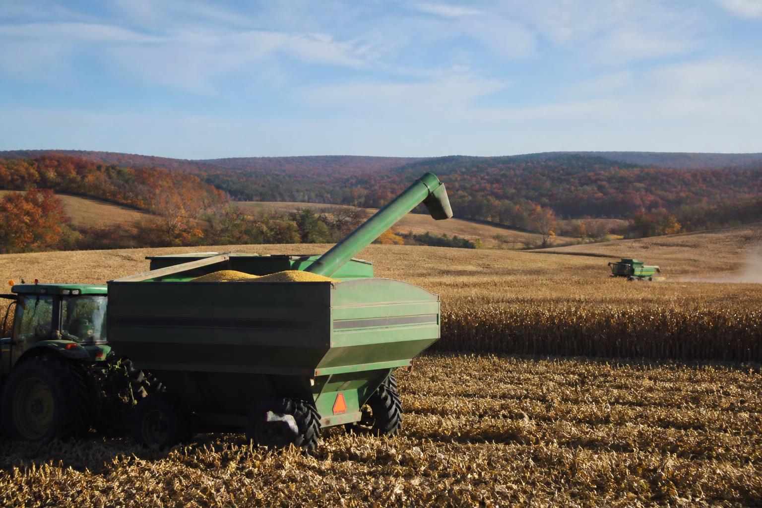 Managing Seasonal Volatility: A Strategic Look at Virginia Grain Markets - AgroPost